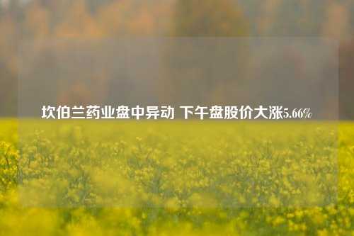 坎伯兰药业盘中异动 下午盘股价大涨5.66%-第1张图片-世界财经