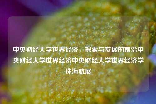 中央财经大学世界经济，探索与发展的前沿中央财经大学世界经济中央财经大学世界经济学珠海航展-第1张图片-世界财经