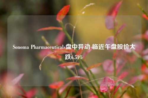 Sonoma Pharmaceuticals盘中异动 临近午盘股价大跌6.51%-第1张图片-世界财经