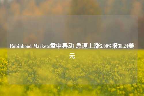 Robinhood Markets盘中异动 急速上涨5.00%报38.24美元-第1张图片-世界财经