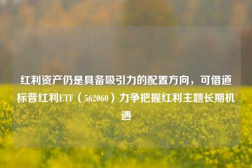 红利资产仍是具备吸引力的配置方向，可借道标普红利ETF（562060）力争把握红利主题长期机遇-第1张图片-世界财经