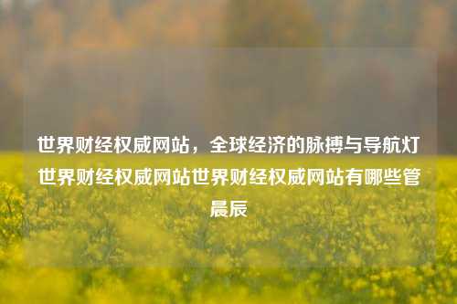 世界财经权威网站，全球经济的脉搏与导航灯世界财经权威网站世界财经权威网站有哪些管晨辰-第1张图片-世界财经