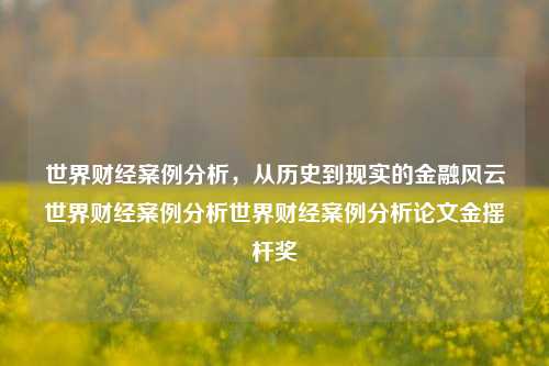 世界财经案例分析，从历史到现实的金融风云世界财经案例分析世界财经案例分析论文金摇杆奖-第1张图片-世界财经