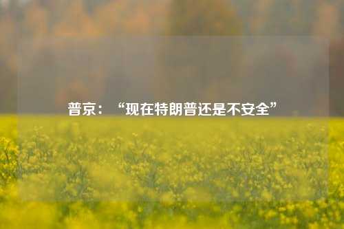 普京：“现在特朗普还是不安全”-第1张图片-世界财经