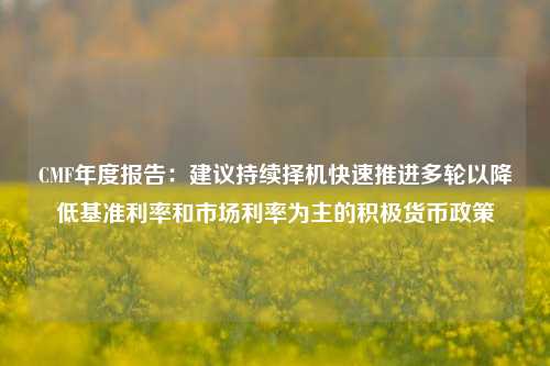 CMF年度报告：建议持续择机快速推进多轮以降低基准利率和市场利率为主的积极货币政策-第1张图片-世界财经