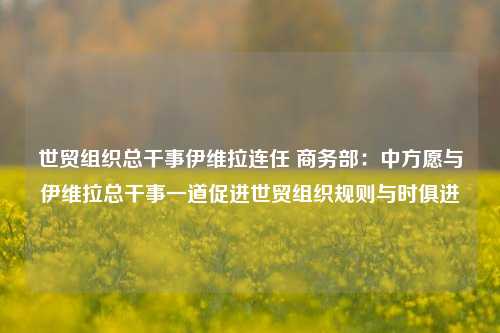 世贸组织总干事伊维拉连任 商务部：中方愿与伊维拉总干事一道促进世贸组织规则与时俱进-第1张图片-世界财经