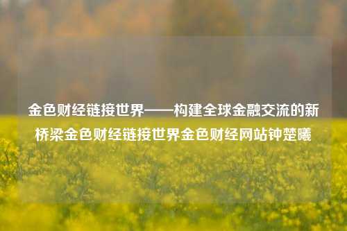 金色财经链接世界——构建全球金融交流的新桥梁金色财经链接世界金色财经网站钟楚曦-第1张图片-世界财经