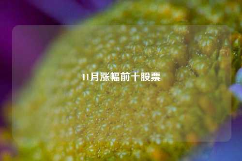 11月涨幅前十股票-第1张图片-世界财经