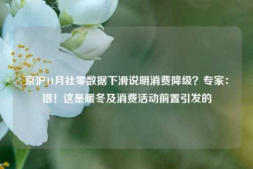 京沪11月社零数据下滑说明消费降级？专家：错！这是暖冬及消费活动前置引发的