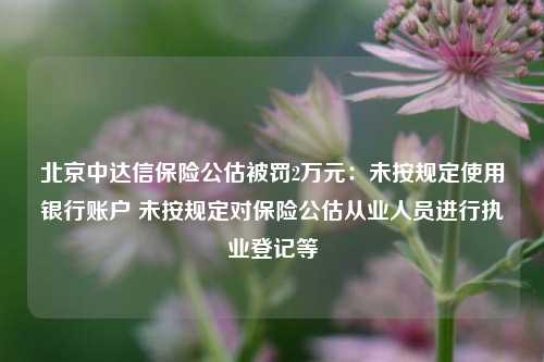 北京中达信保险公估被罚2万元：未按规定使用银行账户 未按规定对保险公估从业人员进行执业登记等