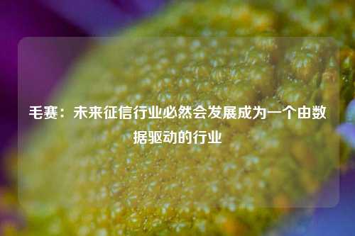 毛赛：未来征信行业必然会发展成为一个由数据驱动的行业