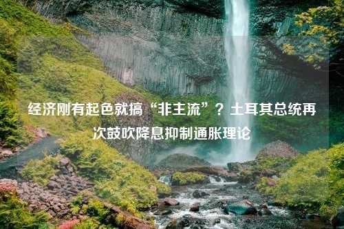 经济刚有起色就搞“非主流”？土耳其总统再次鼓吹降息抑制通胀理论