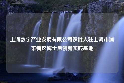 上海数字产业发展有限公司获批入驻上海市浦东新区博士后创新实践基地