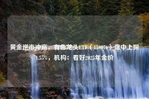 黄金逆市冲高，有色龙头ETF（159876）盘中上探1.55%，机构：看好2025年金价