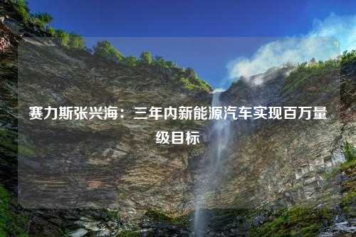 赛力斯张兴海：三年内新能源汽车实现百万量级目标