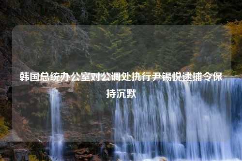 韩国总统办公室对公调处执行尹锡悦逮捕令保持沉默