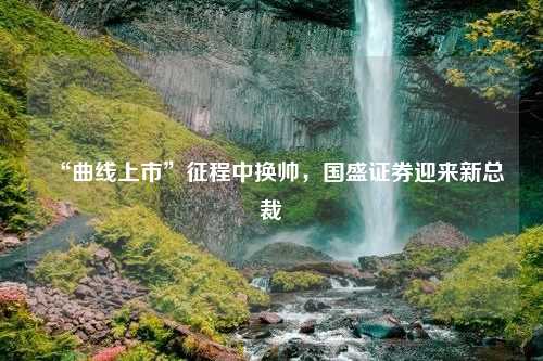 “曲线上市”征程中换帅，国盛证券迎来新总裁