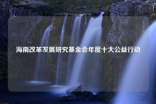 海南改革发展研究基金会年度十大公益行动