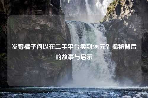 发霉橘子何以在二手平台卖到599元？揭秘背后的故事与启示