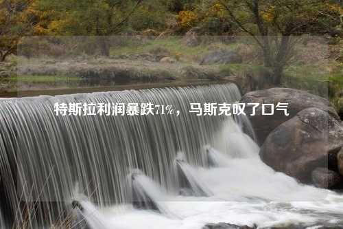 特斯拉利润暴跌71%，马斯克叹了口气