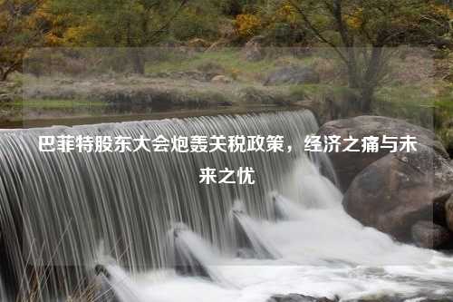 巴菲特股东大会炮轰关税政策，经济之痛与未来之忧