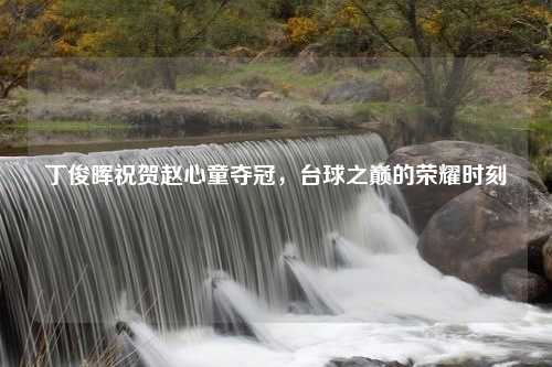 丁俊晖祝贺赵心童夺冠，台球之巅的荣耀时刻