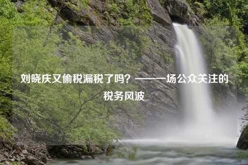 刘晓庆又偷税漏税了吗？——一场公众关注的税务风波
