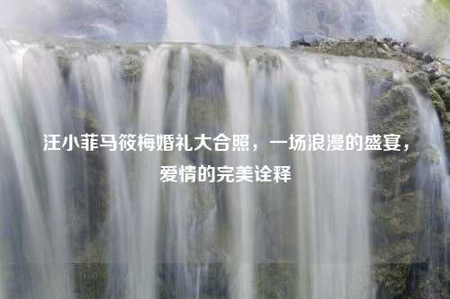 汪小菲马筱梅婚礼大合照，一场浪漫的盛宴，爱情的完美诠释