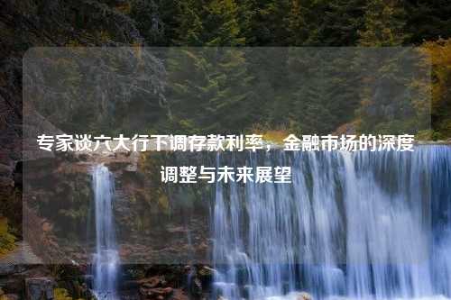专家谈六大行下调存款利率，金融市场的深度调整与未来展望