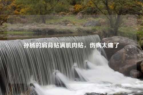 孙杨的肩背贴满肌肉贴，伤病太痛了