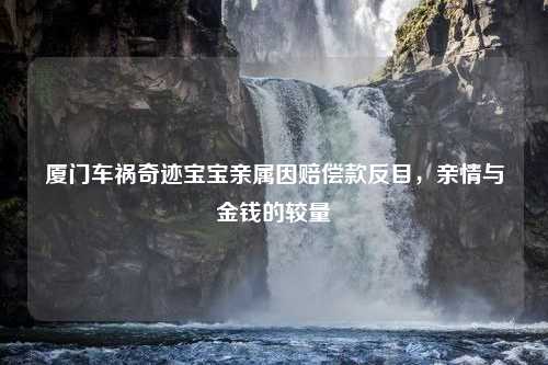 厦门车祸奇迹宝宝亲属因赔偿款反目，亲情与金钱的较量