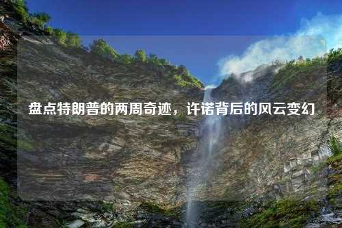 盘点特朗普的两周奇迹，许诺背后的风云变幻